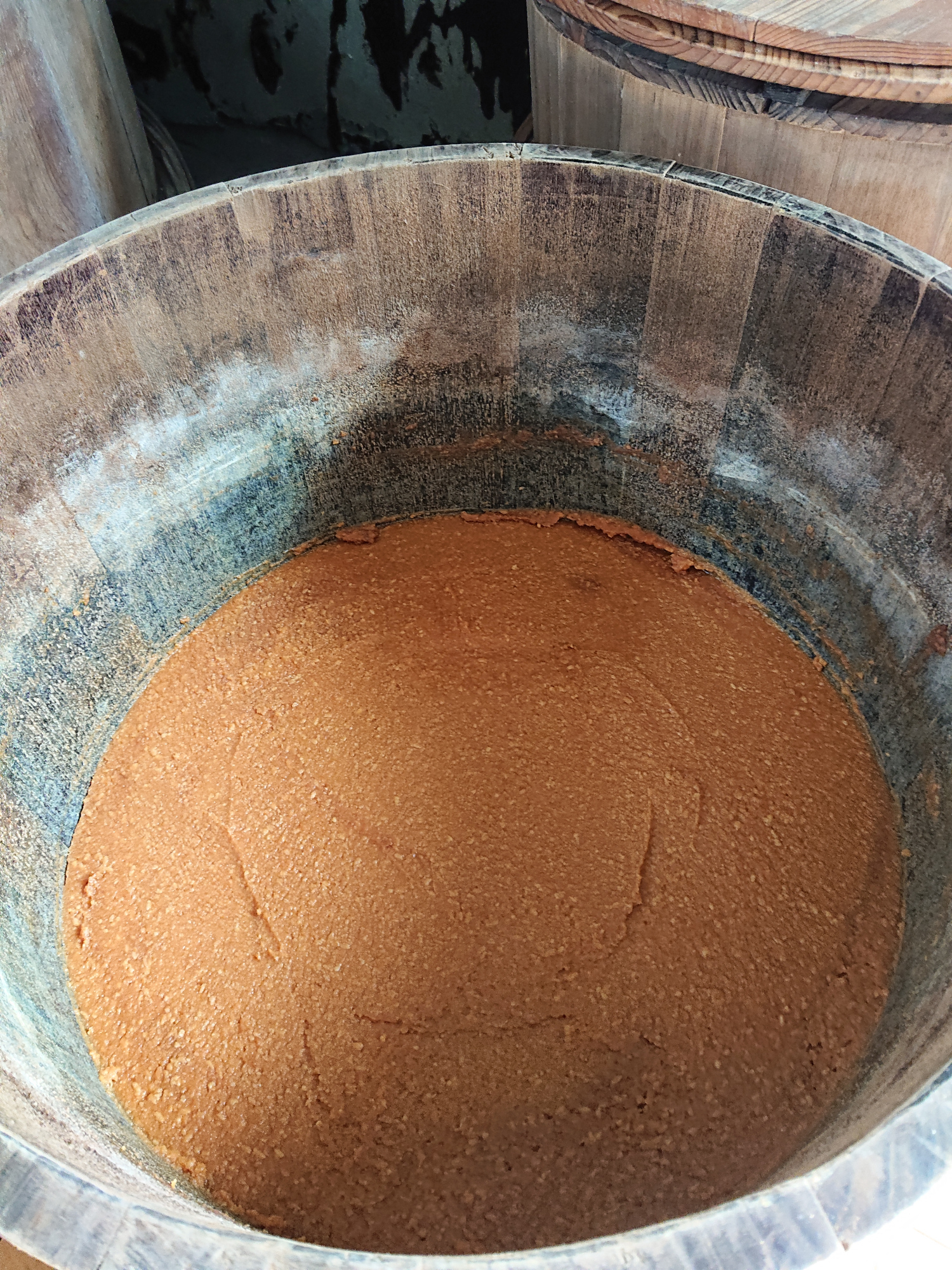 味噌のおいしい保存方法 小池商店 こいけしょうてん 味噌のおいしい保存方法 小池商店 こいけしょうてん